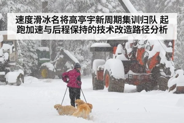 速度滑冰名将高亭宇新周期集训归队 起跑加速与后程保持的技术改造路径分析